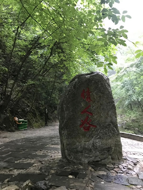 平凹国际家居 | 青春有梦，不负时光，共赏湖光山色！